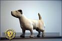 studjack copia